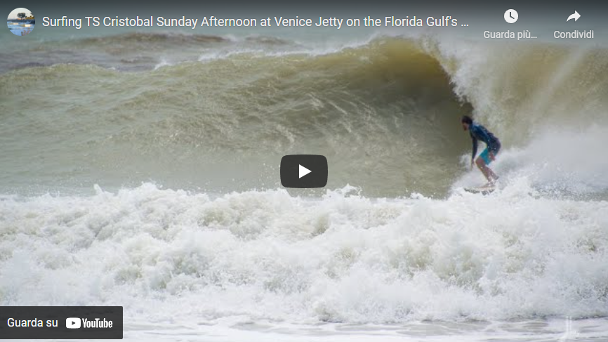 Venice, Florida, USA, surfing spot, travel, lifestyle