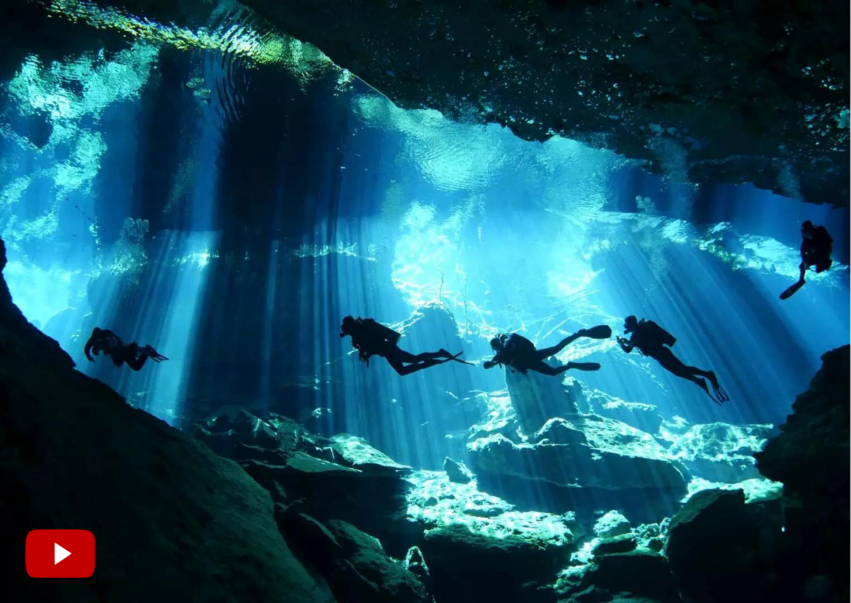 Cenote Angelita–Tulum, Mexico, The 31 Best Scuba Dive Sites In The World for 2022, travel, lifestyle, world, africa, sea, ocean, america, photo, gopro,africa,asia, thailand, philippines