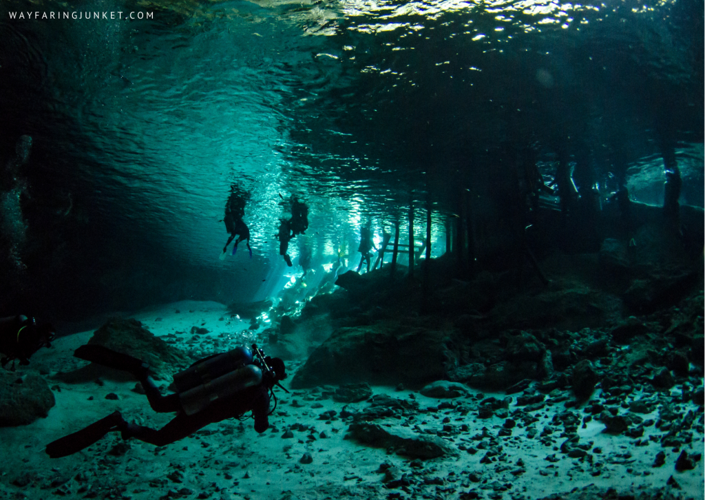 Cenote Angelita–Tulum, Mexico, diving, spot, site, world, travel
